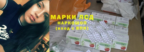 ПСИЛОЦИБИНОВЫЕ ГРИБЫ Сосновый Бор