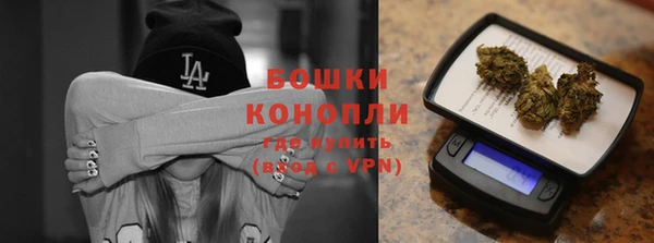 гидра Лысково