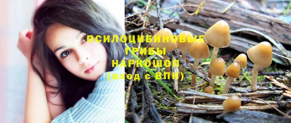 прущие крисы Слюдянка