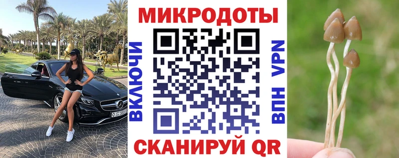 Псилоцибиновые грибы ЛСД Новотитаровская