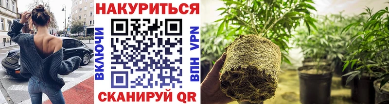 Бошки Шишки конопля OMG рабочий сайт Новотитаровская